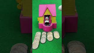 Abbas Creator Live Stream