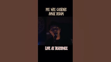 pee wee gaskins - amuk redam #live #music #poppunk #punk #youtubeshorts #feedshorts