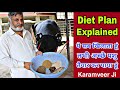 Full Diet Plan of Animals Feed Explained by Most Popular Breeder of India Mr. Karamveer Ji