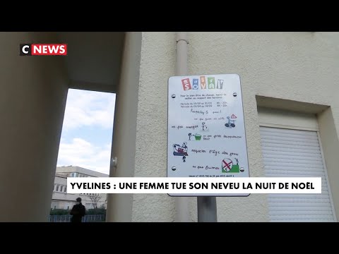 Vidéo: Tante Tue Son Neveu