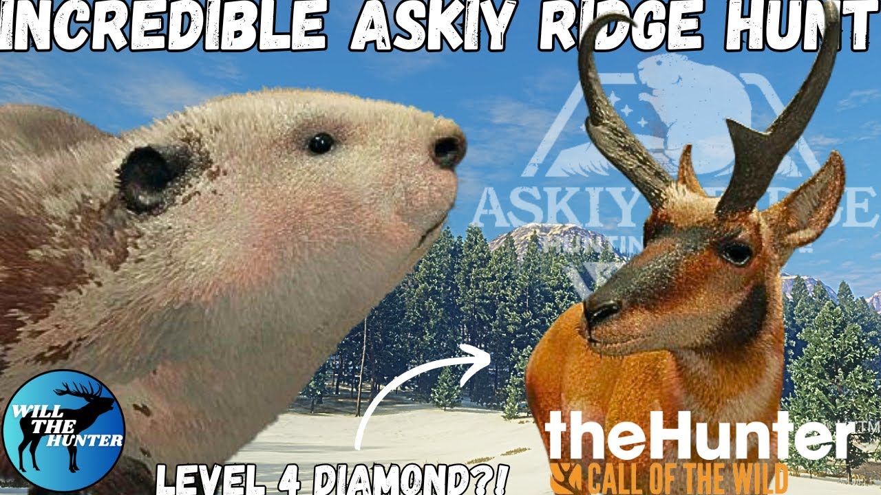 Пегий бобр и алмазный вилорог 4-го уровня в многопользовательском режиме Asky Ridge?! TheHunter C...