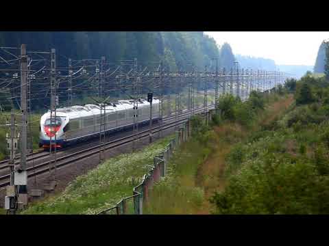 Wideo: Prędkość pociągu Sapsan jest porównywalna do szybkiego lotu sokoła