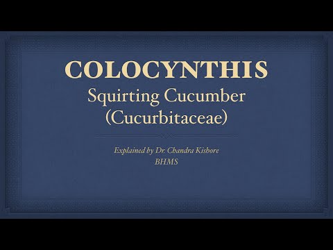 Video: >> Colocynth - Nyttige Egenskaper Og Bruk Av Colocynth, Kontraindikasjoner