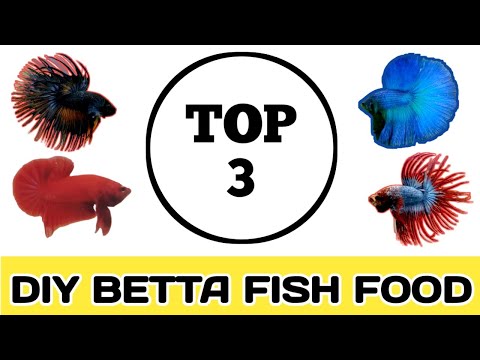 3 BEST HOMEMADE BETTA FISH FOOD, NO LIVE FOODS, RAPID GROWTH (diy)
