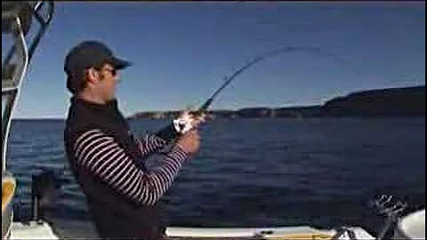 Adventure Bound Jervis Bay Kingfish part 3