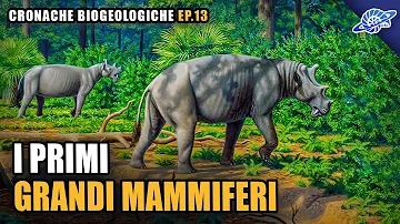 Che dimensione avevano i primi mammiferi?