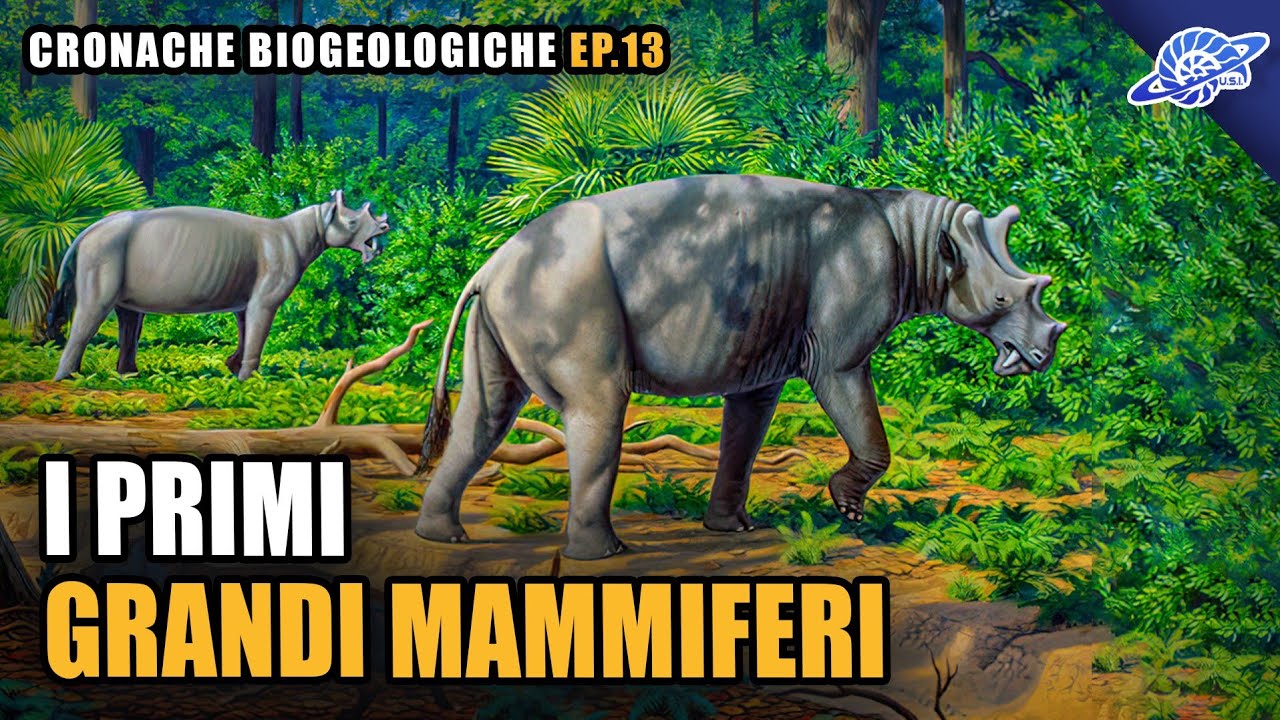 I Primi Grandi Mammiferi | Eocene (Paleogene) | Cronache Biogeologiche Ep. 13