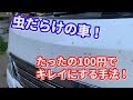 車の虫取りはどんな家庭にもあるアレで解決!コスト100円でボディについた虫を簡単除去!