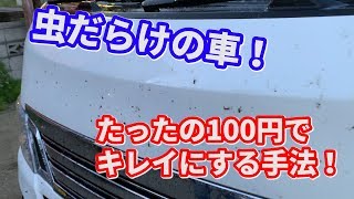 車の虫取りはどんな家庭にもあるアレで解決 コスト100円でボディについた虫を簡単除去 Youtube