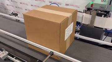 LabelMill LM3612 Swing Tamp Print & Apply Label Applicator for Conveyed Cartons