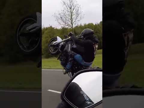 Wheelie King at