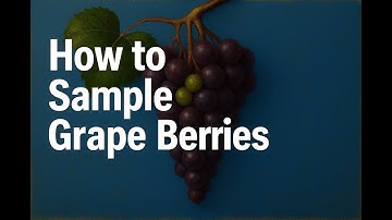 Berry Sampling in Winegrape Vineyards (UCCE)