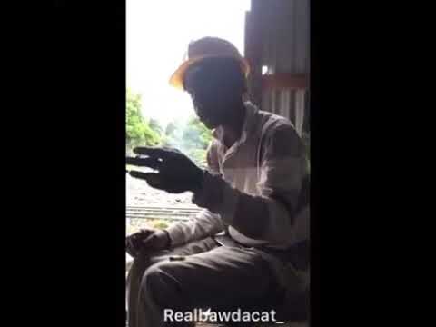 Teafing gal #realbawdacat #jamaicancomedy #jokes #vines