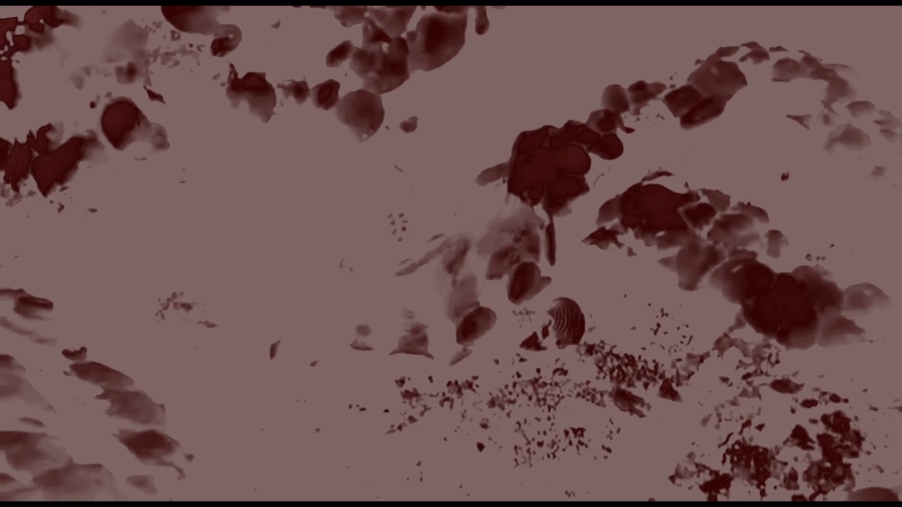 YTK: Unternehmen Cocktopus - Meer Stoff, jetzt!