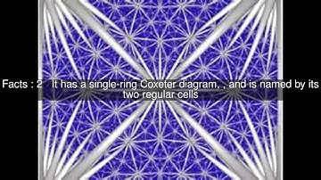 Tetrahedral-icosahedral honeycomb Top  #8 Facts