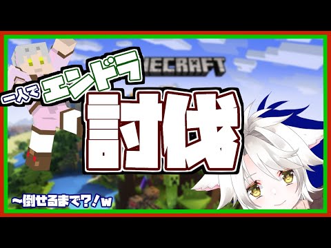 【マイクラ配信】一人でエンドラ討伐！！【パート2】