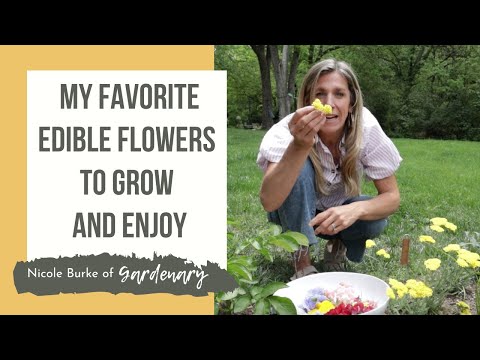 Video: Culegând flori de mâncat - Când și cum să recoltați flori comestibile