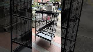 Aviary Parrot Cage A23 81x56x170cm Large Bird Cage African Grey, Eclectus, Ringnecks 🦜🏡 #birdcage