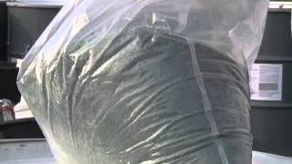 Gypsy Moth Treatment