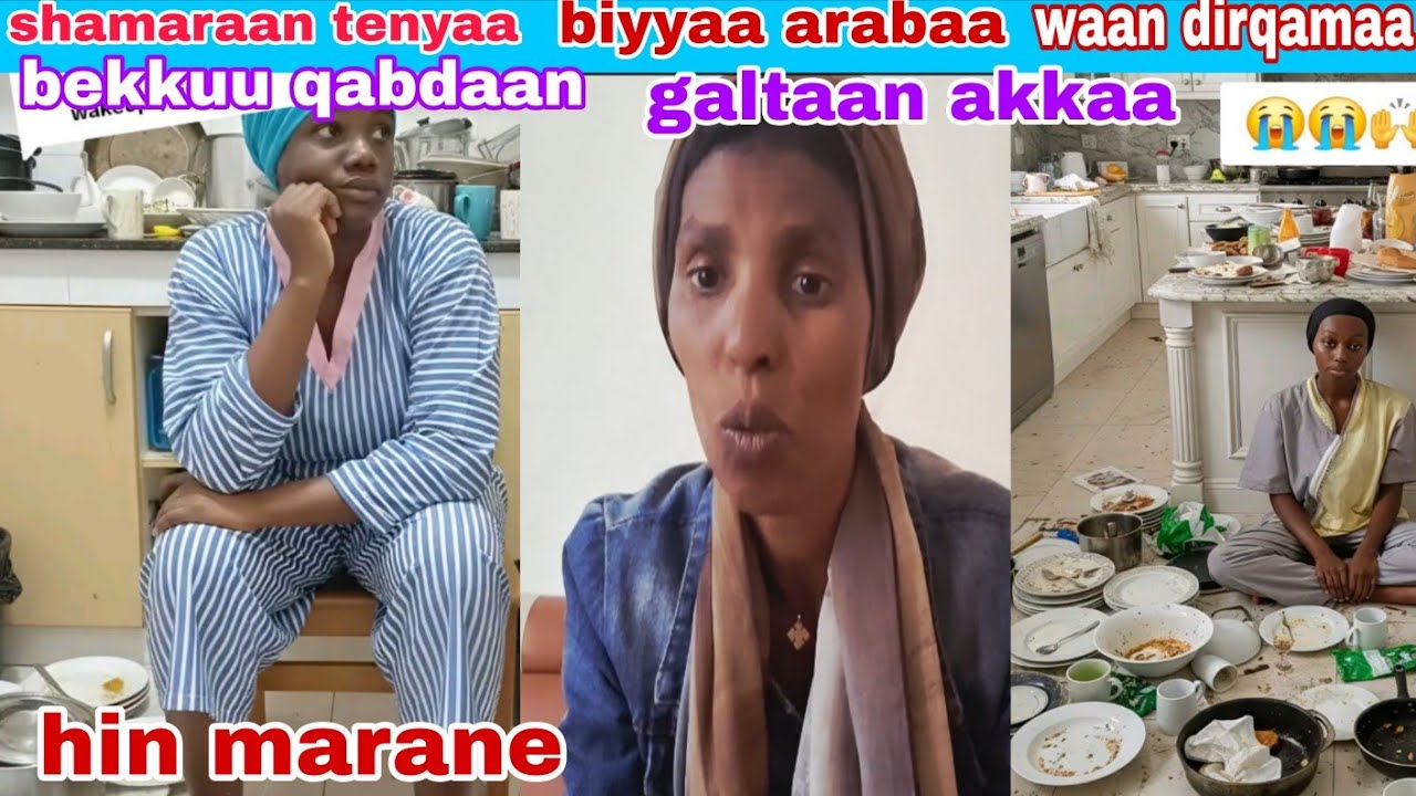 #shamaraan tenyaa biyaa arabaa galtee marachuu yoo hin fennee diramaa waan bekuu qabdaan 