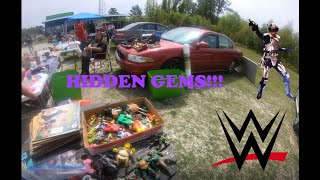 Checked out a local Flea Market in Jacksonville, NC! Score some WWE Elite and Pepe Lapew!