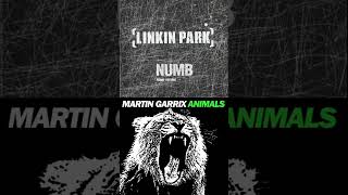 Animals x Numb - Linkin Park / Martin Garrix Mashup