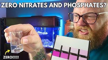 Why Your New Reef Tank Has ZERO Nitrates & Phosphates what to do if anything!