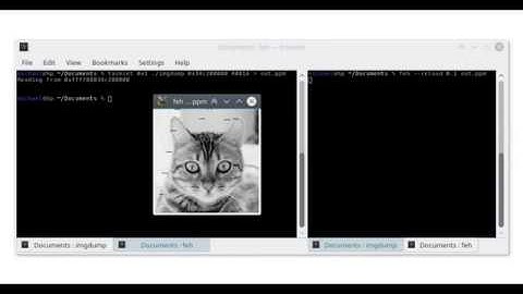 Reconstructing a photo with Meltdown