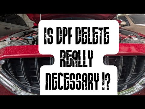 IS DPF DELETE REALLY NECESSARY !? - YouTube
