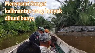 Sarang buaya muara kalimantan