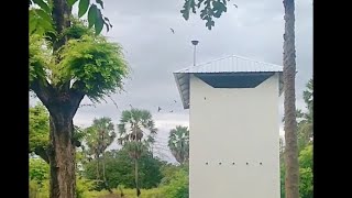 Kumpulan respon SP Pangeran Sriwijaya
