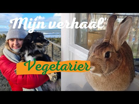 Video: Hoe Om 'n Vegetariër Te Word. Die Regte Oorgang Na Vegetarisme