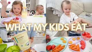 *NEW* WHAT MY KIDS EAT IN A DAY (+HOW  MUCH THEY ACTUALLY EAT) | PICKY TODDLER EDITION | KAYLA BUELL