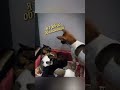 Требую объяснений! #видео #едит #популярное #рекомендации #edit #впопулярное #котик #рек #реки #cat