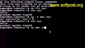 How to copy files in Arch Linux