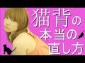 【神回】猫背の本当の治し方