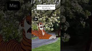 When someone tries to flirt with me😎 #memes #shorts #mood #dailymemes