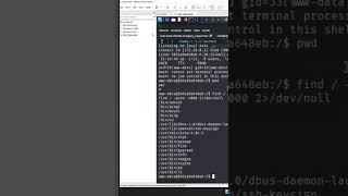 “De 0 a ROOTentrenamiento de hacking ético paso a paso #pentesting #hackingdesdecero #ciberseguridad