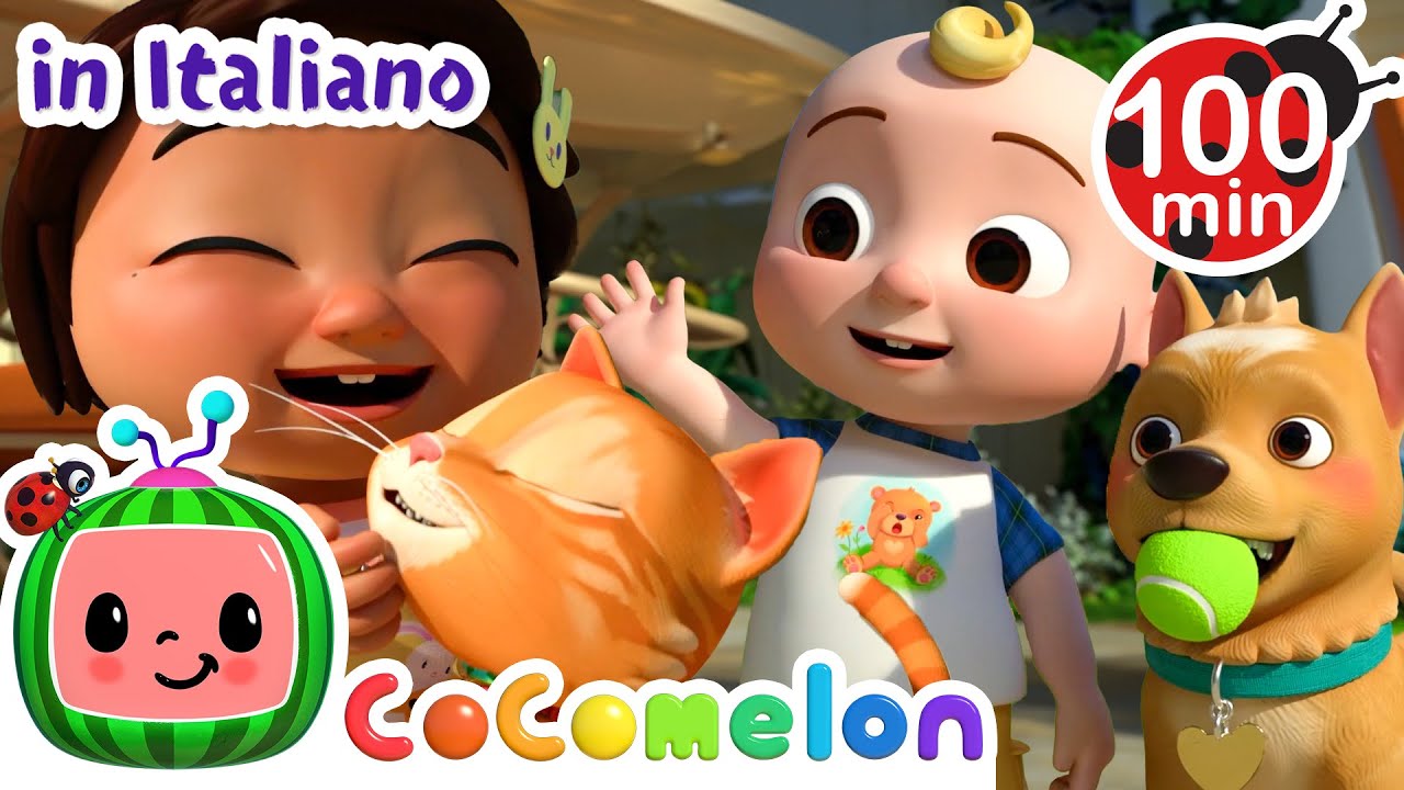 Team Gattino o Cagnolino? | CoComelon | Moonbug Kids - Cartoni Animati