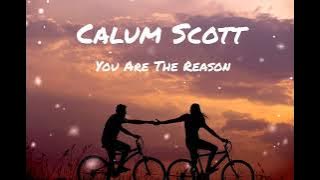 You are the Reason - Callum Scott - Cover by Olivia Penalva (Lyric Video)