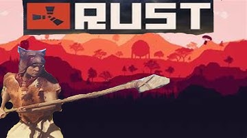 RUST IN A NUTSHELL