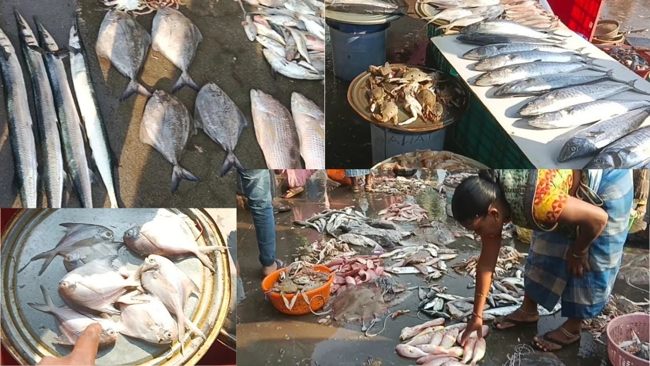 Bhaucha Dhakka Mumbai Fish Market Mumbai Ka Sabse Sasta Machhi