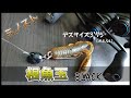 【根魚玉】フットボールヘッドって都市伝説並みに見ないよね【ミノスト】
