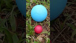 Double Egg Small Red Egg And Blue Egg