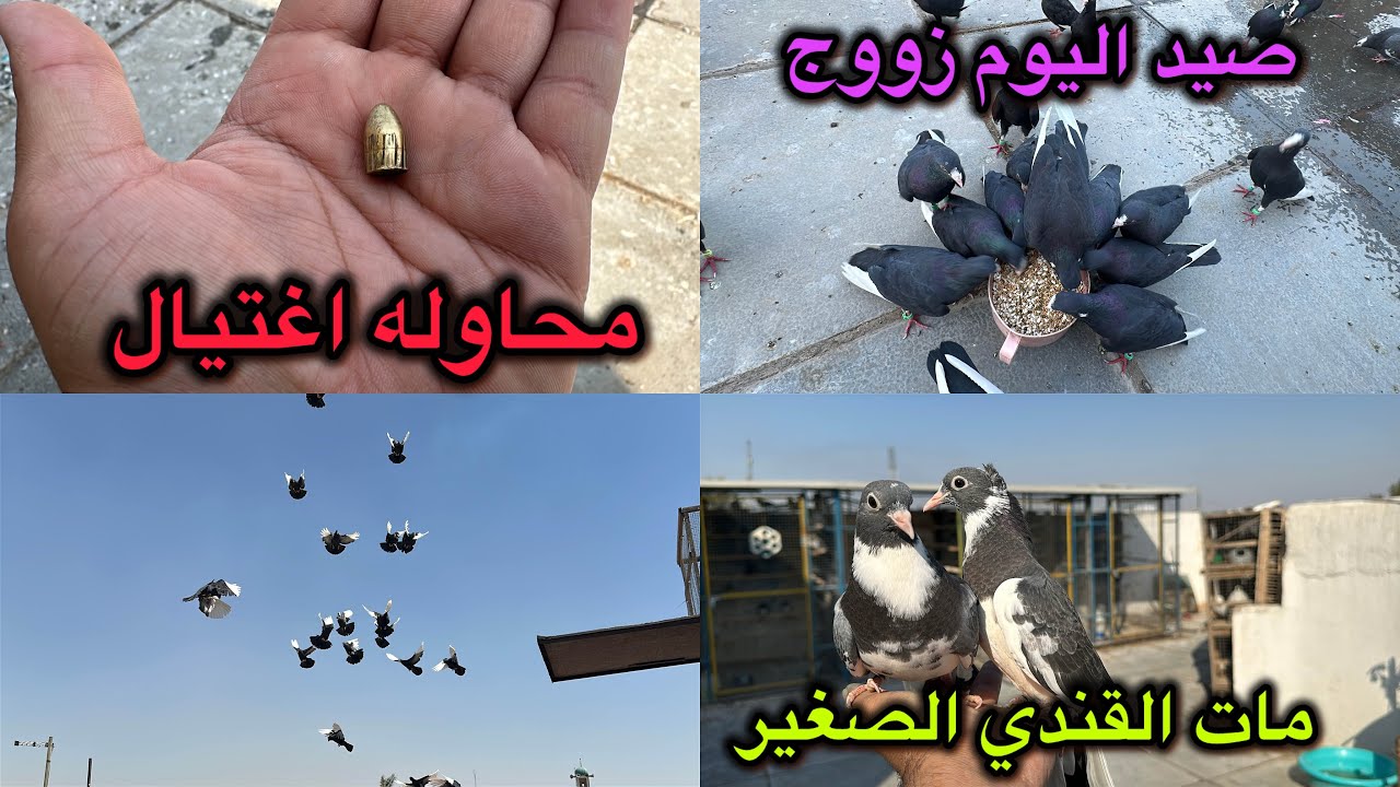 لكيت زوج غربه بسطح😍هاي طلقه منين😱صيد 2 طيور❤️❤️❤️❤️