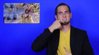 The Daily Moth 7-17-14