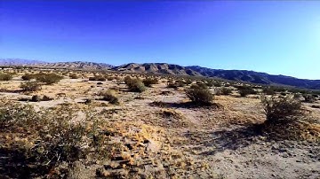 Desert FPV and some young Joshua Trees,