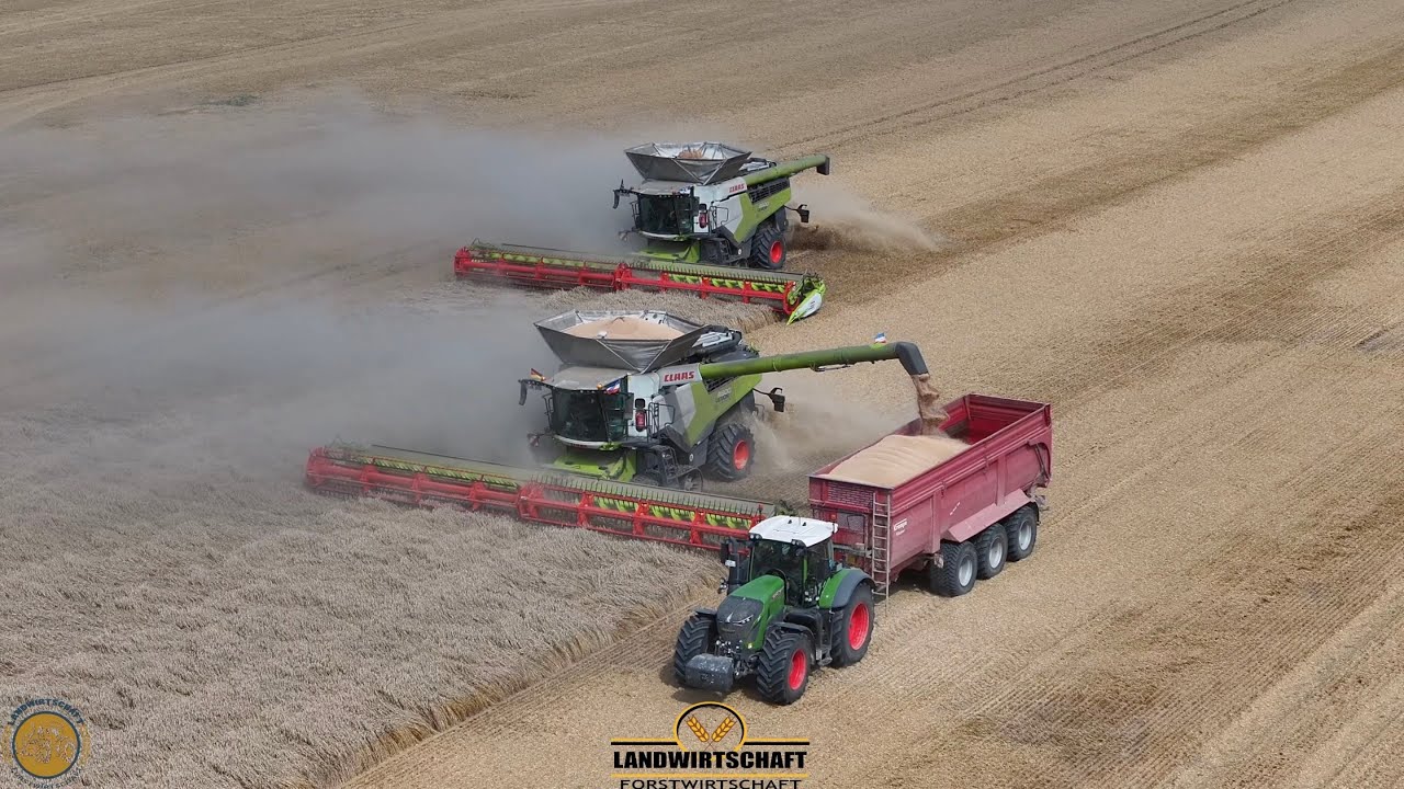 10.000ha Getreide! Kriegen wir den Korntank noch auf den Anhänger drauf? 3 Mähdrescher im Einsatz 