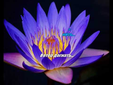 Согдиана Ветер догнать ремикс