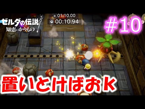The Legend of Zelda: Borrowing Wisdom #10] Sorry, I'm going
